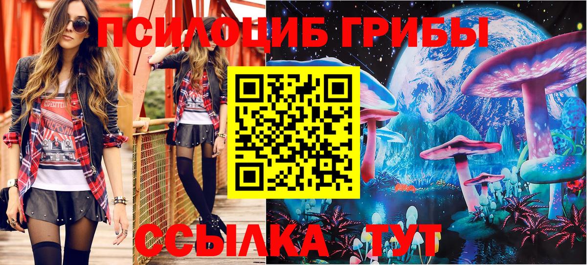 Псилоцибиновые грибы GOLDEN TEACHER  Вход с VPN  Новотроицк 